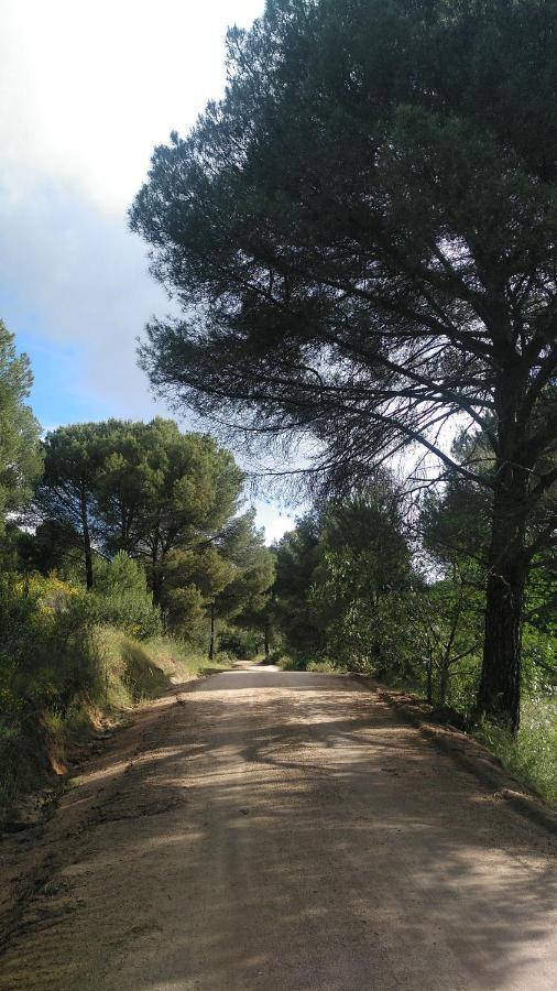 La Isabelita Villa Andujar Bagian luar foto